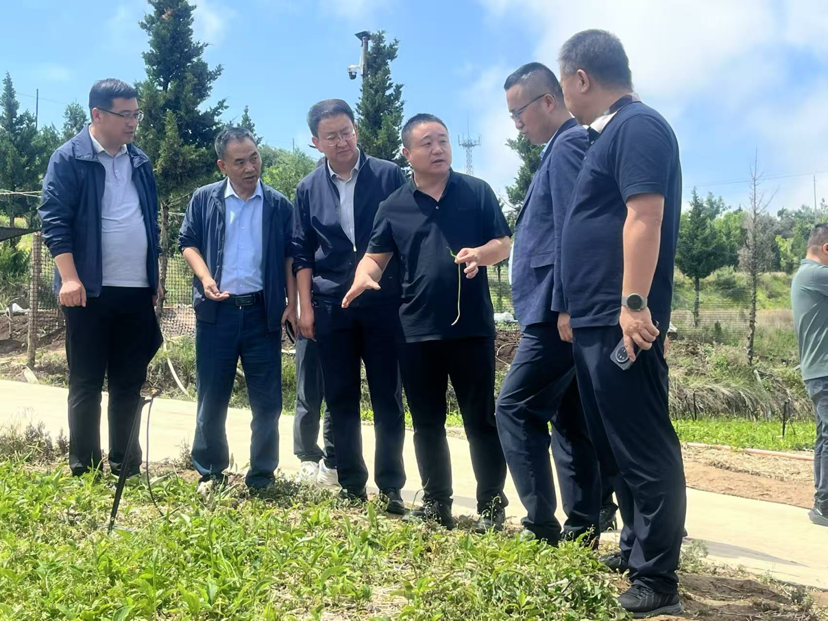 202506301751243722694188.png 1e335ac74dbb29700649f743326d879f.png