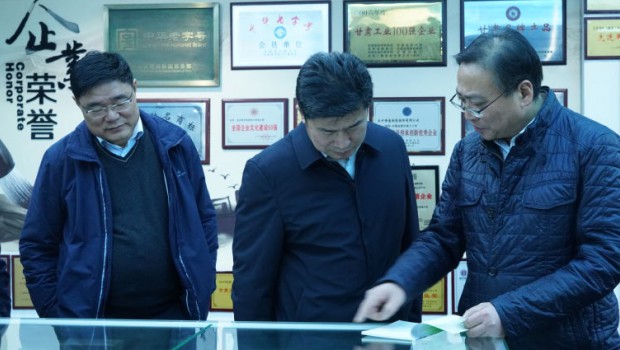 市政府国资委党委书记、主任张红桢一行莅临新永利官网调研指导