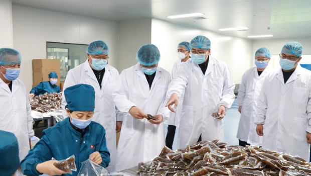 兰州新区管委会副主任田强莅临新永利官网调研甘肃方剂“岐黄避瘟方”生产、配送情况