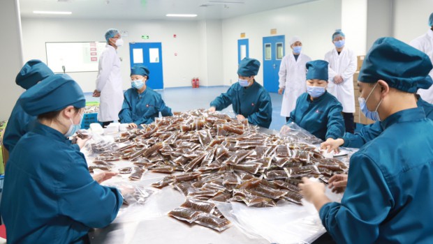 新永利官网抗疫药品生产首战告捷