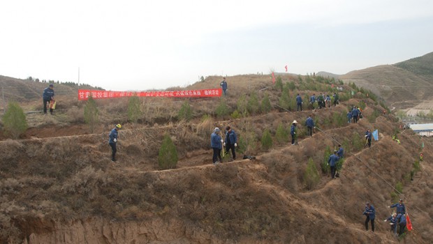 新永利官网组织干部职工开展植树活动