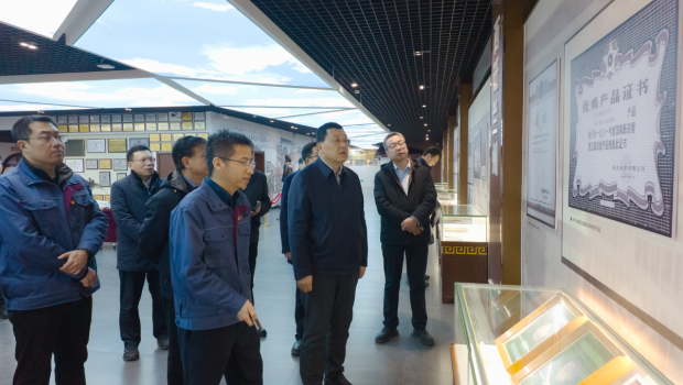 葛建团副省长一行莅临新永利官网调研指导