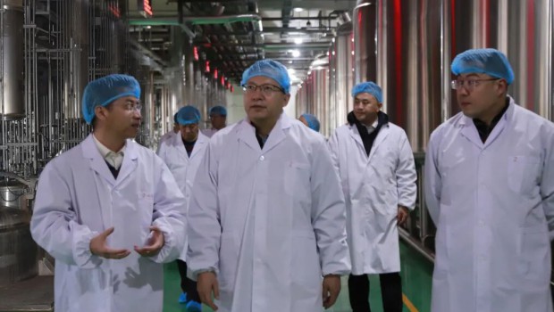 2月12日上午，甘肃国投集团党委书记、董事长成广平率队来到新永利官网，开展春节前安全生产专项检查，实地督导重点部位风险防控..